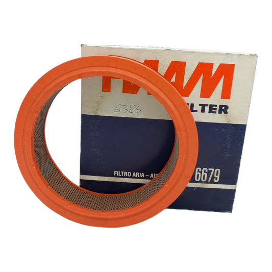 Filtro Aria Motore Fiaam Filter Codice.FL6679