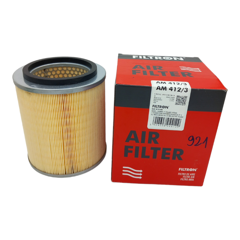 Filtro Aria Motore Filtron Codice.AM 412/3