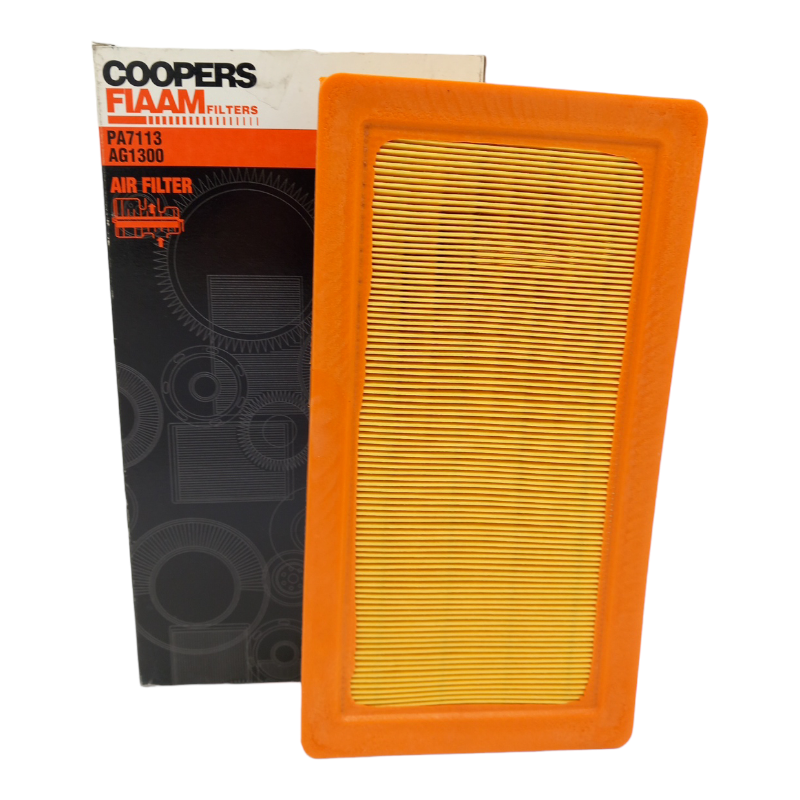 Engine Air Filter Fiaam Filters Code.PA7113