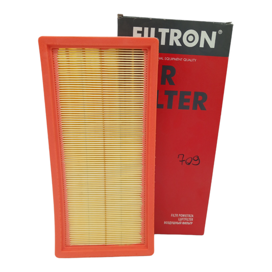 Filtro Aria Motore Filtron Codice.AP 022/3