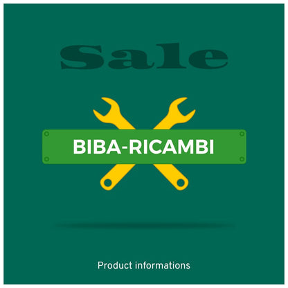 Coprimotore Inferiore DX Compatibile Per Citroen Jumper III dal 2006-2013 BIBA-RICAMBI