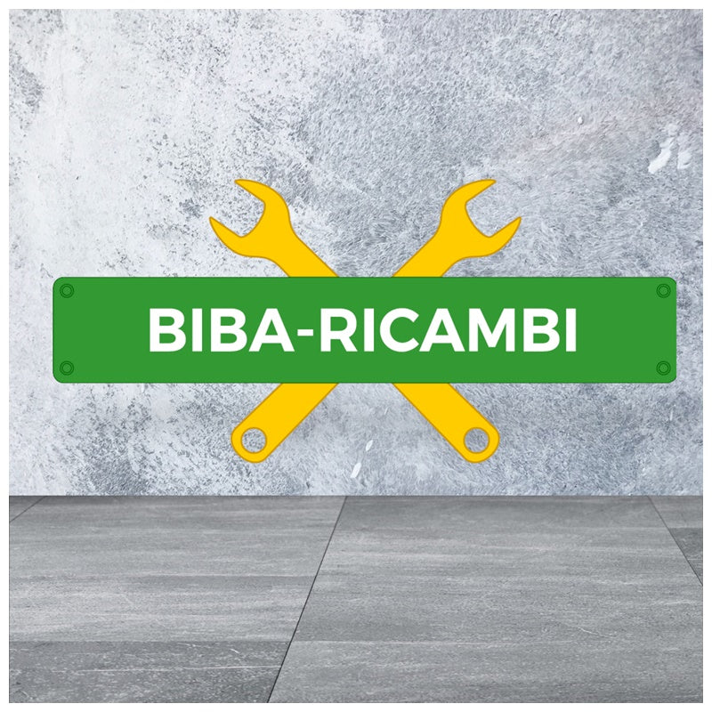 Ammortizzatori Posteriori SX-DX Compatibili Per Fiat Ducato III dal 2006-2013 BIBA-RICAMBI