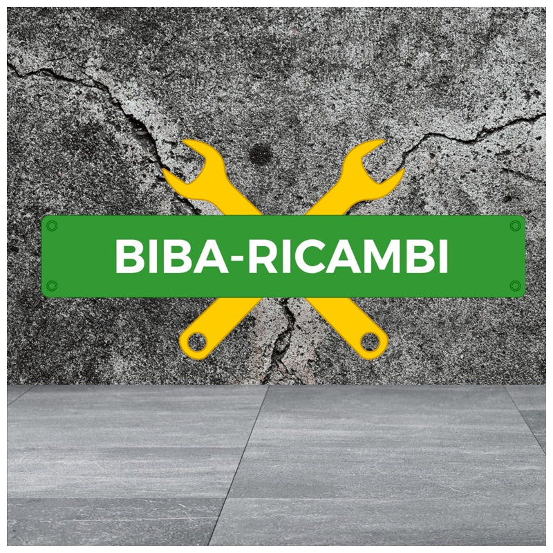 Ammortizzatori Posteriori SX-DX Compatibili Per Fiat Ducato III dal 2006-2013 BIBA-RICAMBI