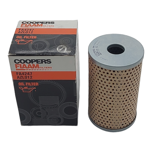 Oil Filter Compatible For Various Models Fiaam Filters