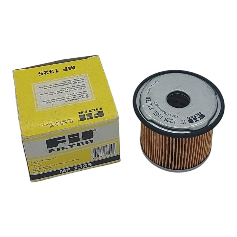 Filtro Carburante Compatibile Per Citroen | Fiat | FSO | Hyundai | Peugeot Fil Filter