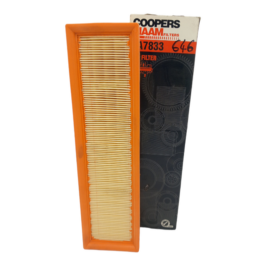 Filtro Aria Motore Fiaam Filters Codice.PA7833