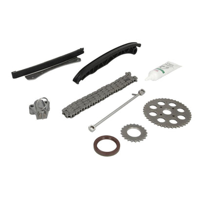 Kit Catena Distribuzione Marca INA Motori 1.3 Diesel