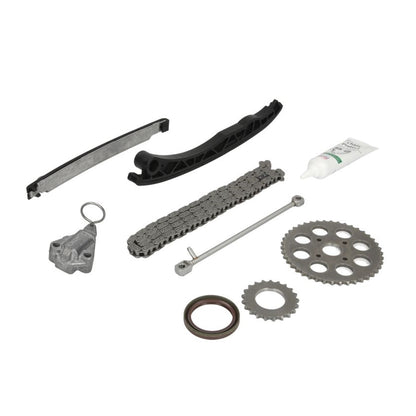 Kit Catena Distribuzione Marca INA Motori 1.3 Diesel